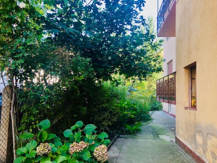 Joy City Stay Colonel Enescu 3 Timişoara Exterior foto